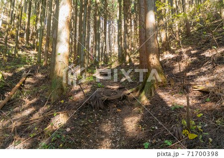 那須火山帯の写真素材