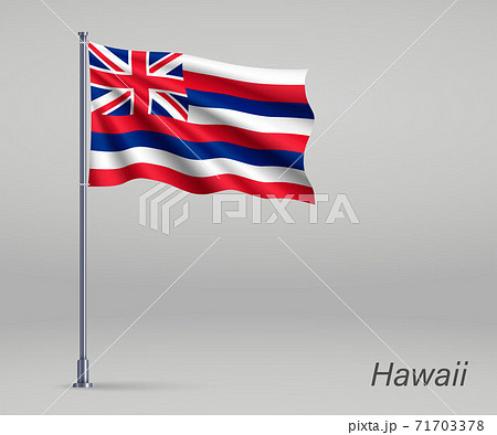 ハワイ ハワイの ハワイ州 旗のイラスト素材