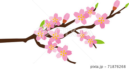 春 校庭 桜 学校のイラスト素材