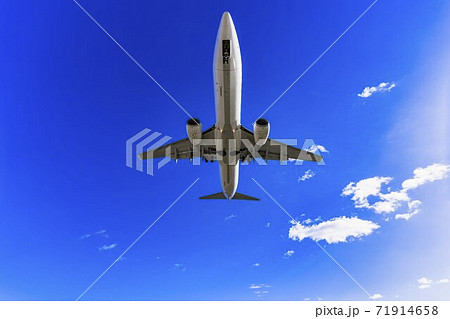 Ana 飛行機の写真素材