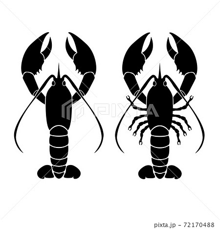 ザリガニのイラスト素材集 Pixta ピクスタ