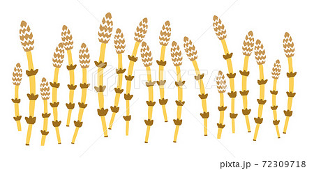 つくしのイラスト素材