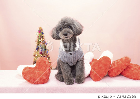 ハート癒しの写真素材