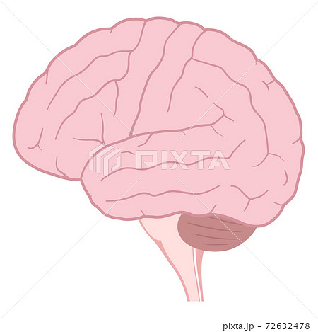 脳トレのイラスト素材
