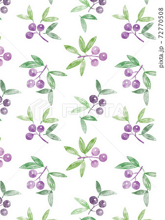 オリーブのイラスト素材