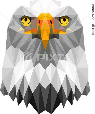 ハヤブサ 鳥のイラスト素材