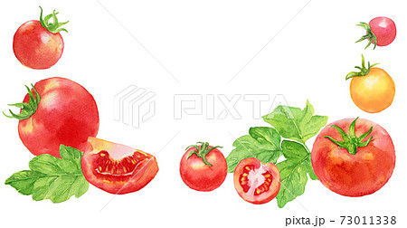プチトマトのイラスト素材