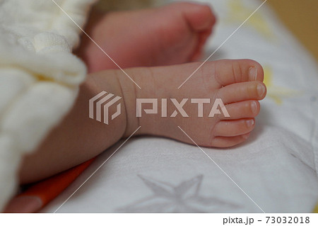 足 爪 指先 子供の写真素材