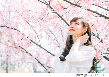 美女桜の写真素材 - PIXTA