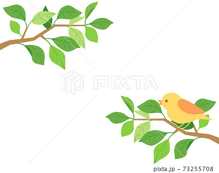 葉 新緑 leaf 鳥のイラスト素材 - PIXTA