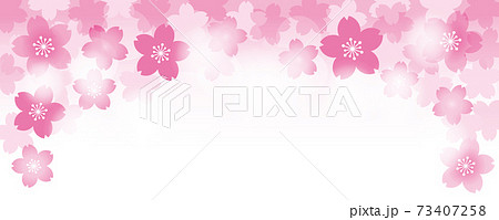 桜 ヘッダー 春 花のイラスト素材