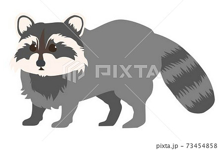 たぬき 狸 のイラスト素材集 Pixta ピクスタ