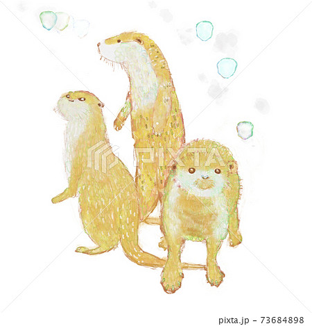 カワウソのイラスト素材