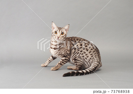 振り向き顔の写真素材