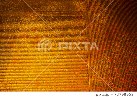 オレンジ色と茶色のペンキが吹き付けられた壁,どろどろ,ベチャベチャ、