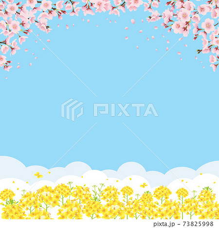 桜 背景 背景画像 さくらのイラスト素材