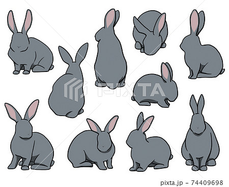 動物 うさぎ 座る イラストの写真素材