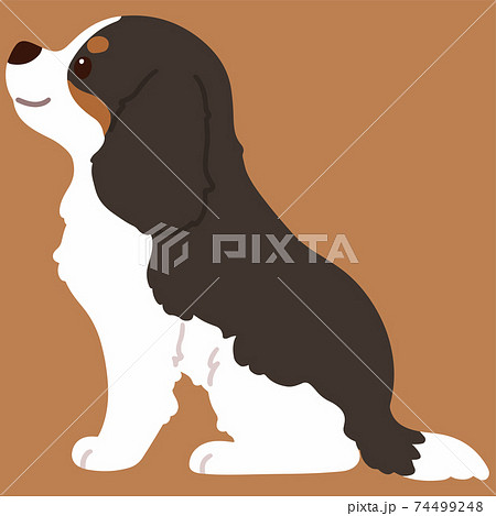 犬 動物 イラスト 横向きの写真素材