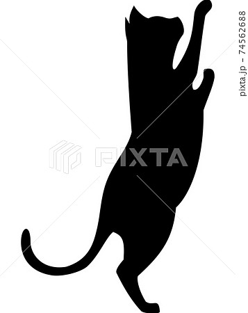 猫 伸び イラスト 動物の写真素材
