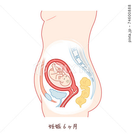 妊婦のイラスト素材集 ピクスタ