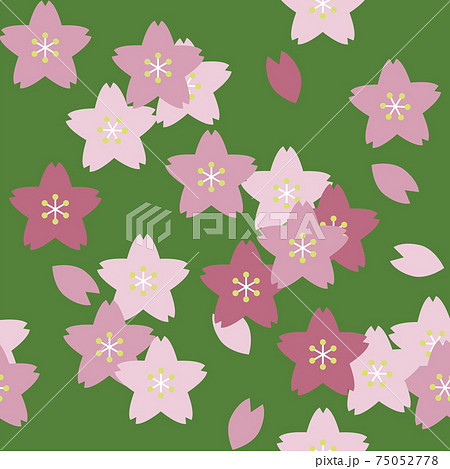 和柄 花 桜 パターンのイラスト素材