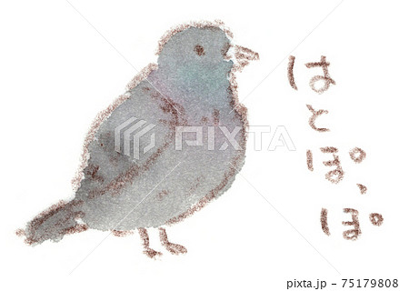 ハト 鳩 のイラスト素材集 ピクスタ