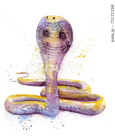 水彩画 コブラ ヘビ 蛇のイラスト素材