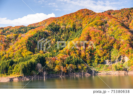 白神山地照片素材