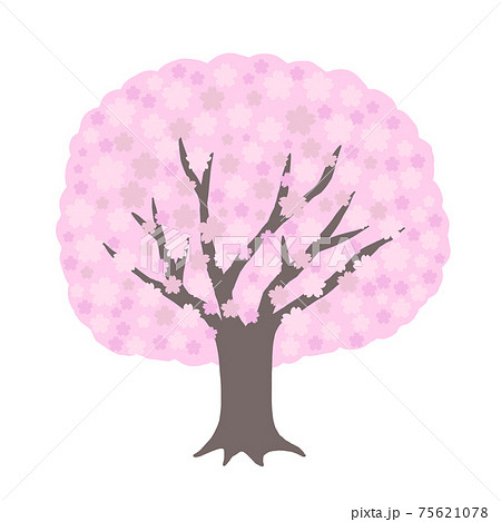 春 校庭 桜 学校のイラスト素材