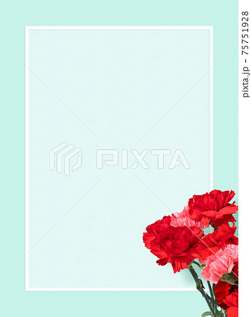 バラの花びら 花びら テクスチャ 背景素材のイラスト素材