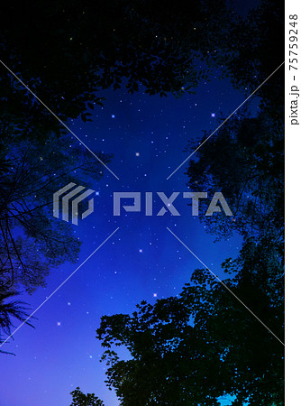 星空 綺麗な星空 のイラスト素材集 ピクスタ