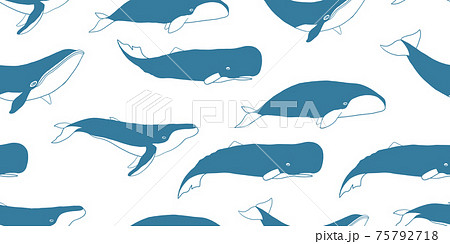 シャチ 鯨 ベクター シルエットのイラスト素材