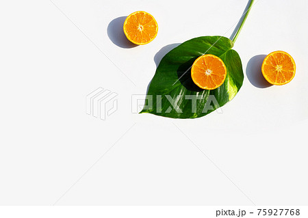 オレンジ 葉っぱ 葉 リーフの写真素材