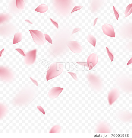 花びらが落ちるのイラスト素材