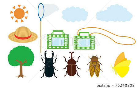 虫かご 虫取り網 蝶 昆虫採集のイラスト素材
