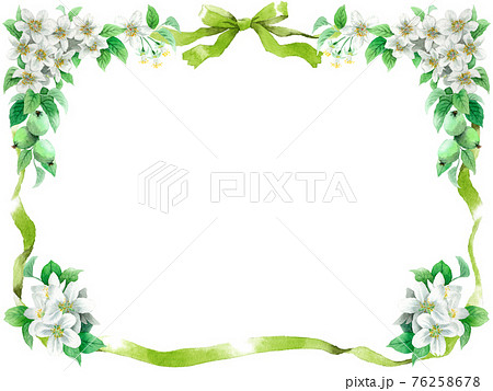 りんごの花のイラスト素材