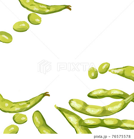 手書き 枝豆 えだまめ 豆のイラスト素材