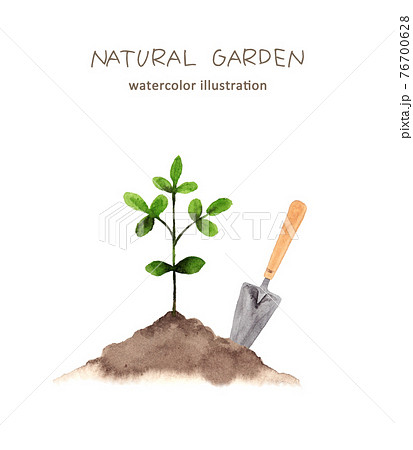 植林のイラスト素材