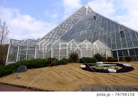 植物園 温室の写真素材