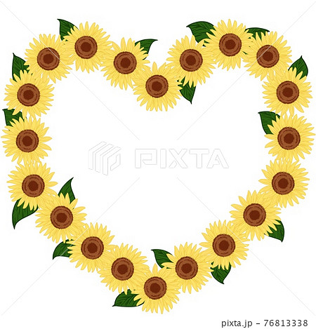 ハート 向日葵 ヒマワリ ひまわり かわいいの写真素材