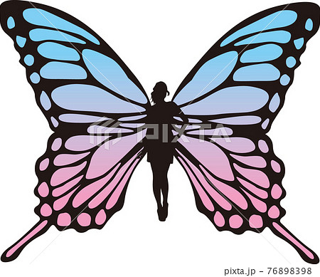 きれい 美しい 綺麗 蝶のイラスト素材