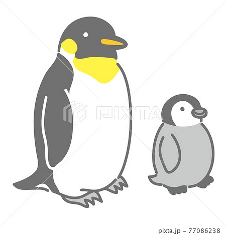 ペンギン 水族館のイラスト素材