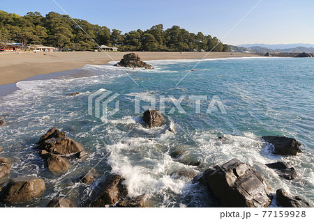 桂浜 風景 公園 桂浜公園の写真素材