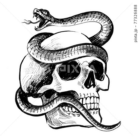 骨 ヘビ 蛇 髑髏のイラスト素材