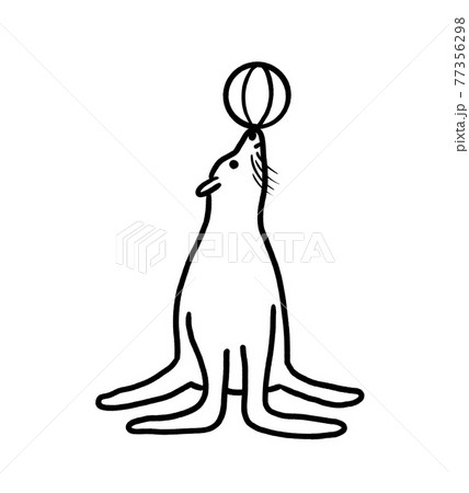 アシカ オットセイのイラスト素材集 Pixta ピクスタ