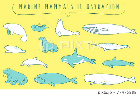 ラッコのイラスト素材集 ピクスタ