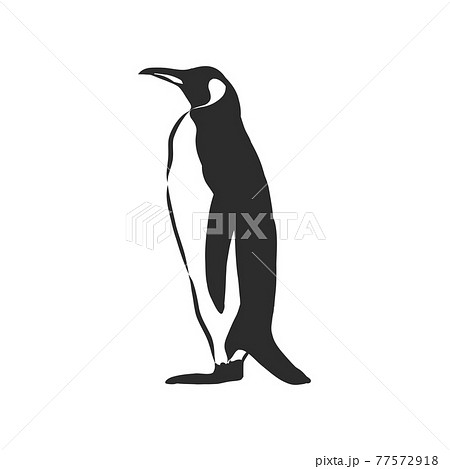 ペンギン 北極 南極 かわいいのイラスト素材 ペンギン 北極 南極 かわいいのイラスト素材