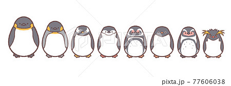 ペンギン ジェンツーペンギン かわいい イラストのイラスト素材