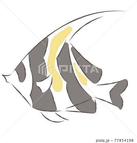 エンゼルフィッシュのイラスト素材