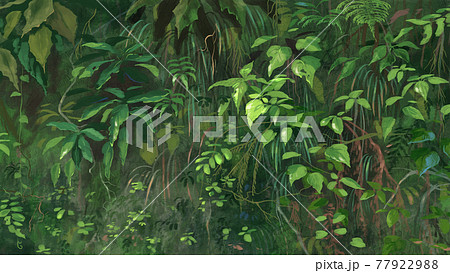 ジャングルのイラスト素材集 ピクスタ